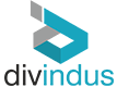 DIVINDUS