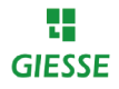 GIESSE